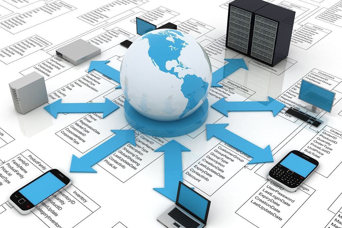 大慶網站建設 精準定位目標用戶，打造高效數字門戶