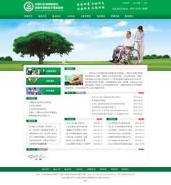 專業企業展示型網站建設，打造北京企業的數字名片